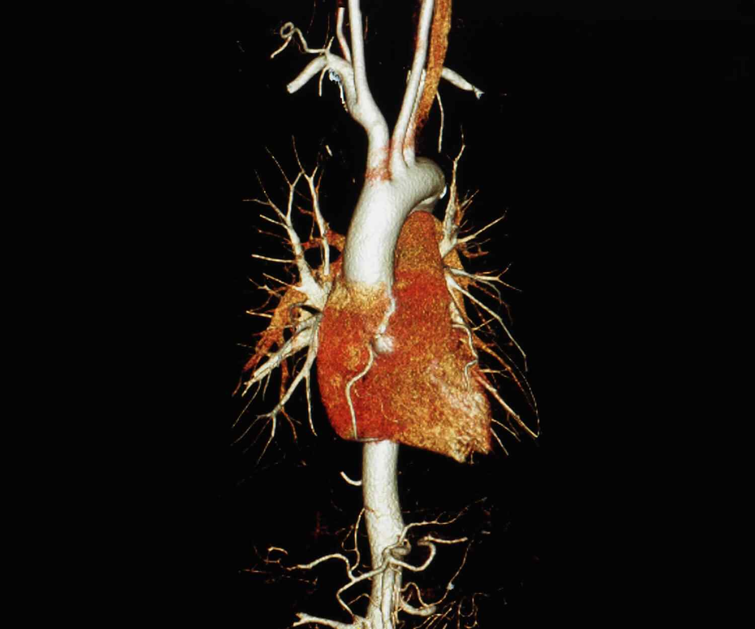 https://dev.homemedica.ro/wp-content/uploads/2021/09/card_image_10.jpg
