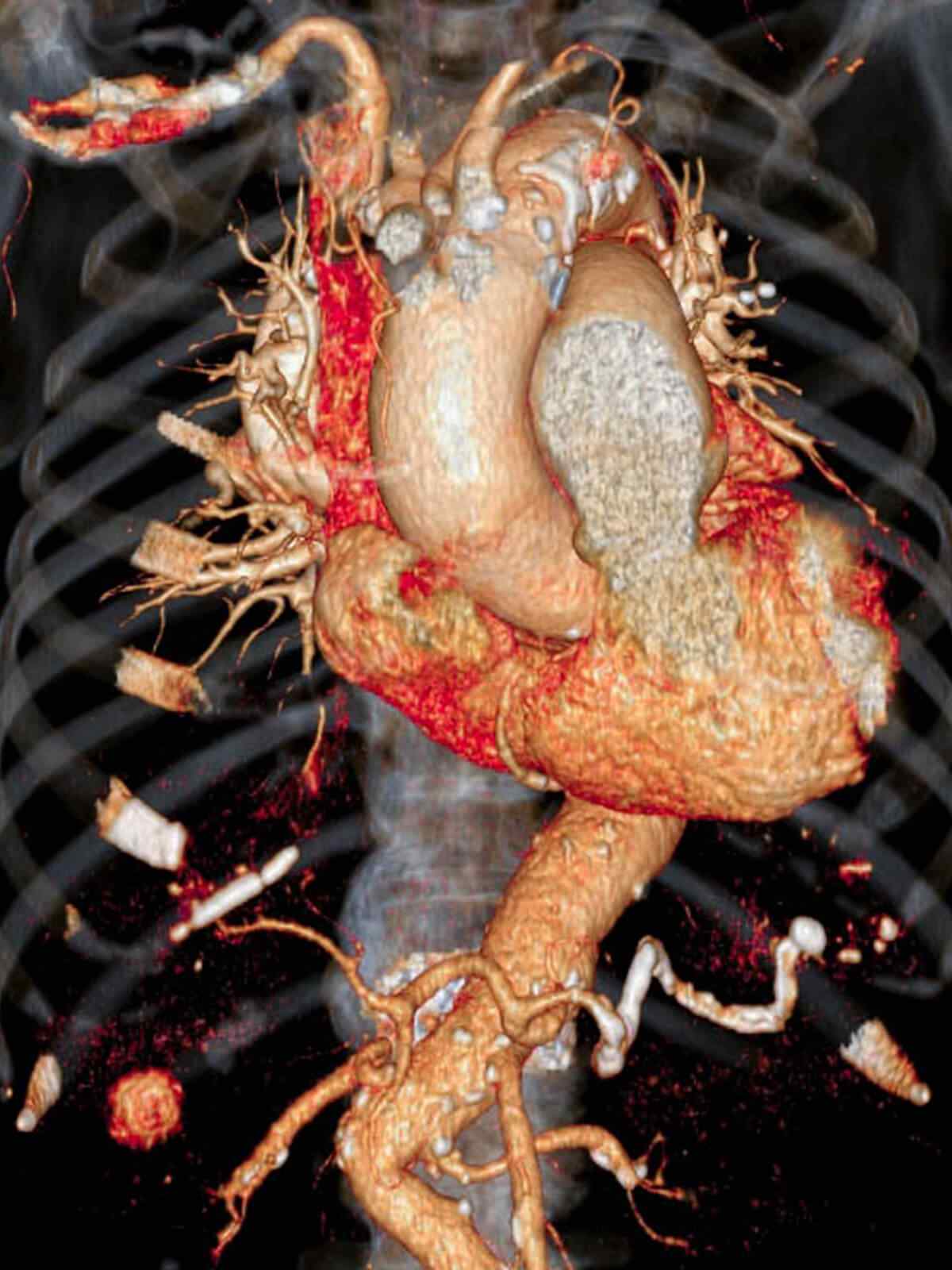 https://dev.homemedica.ro/wp-content/uploads/2021/09/single_service_01.jpg